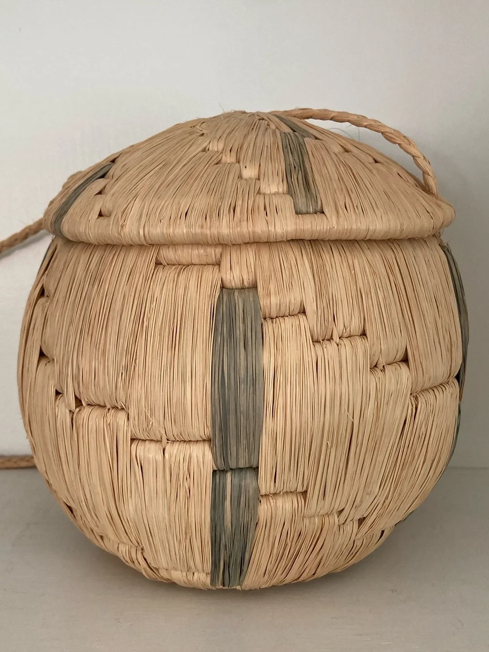Handwoven ~ Lidded Hanging Basket ~ Boho Coastal Vibe